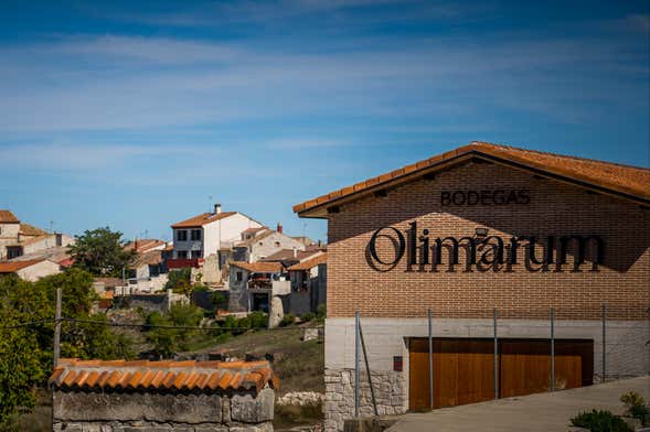 Visita a las bodegas Olimarum