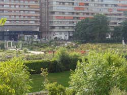 La Rosaleda